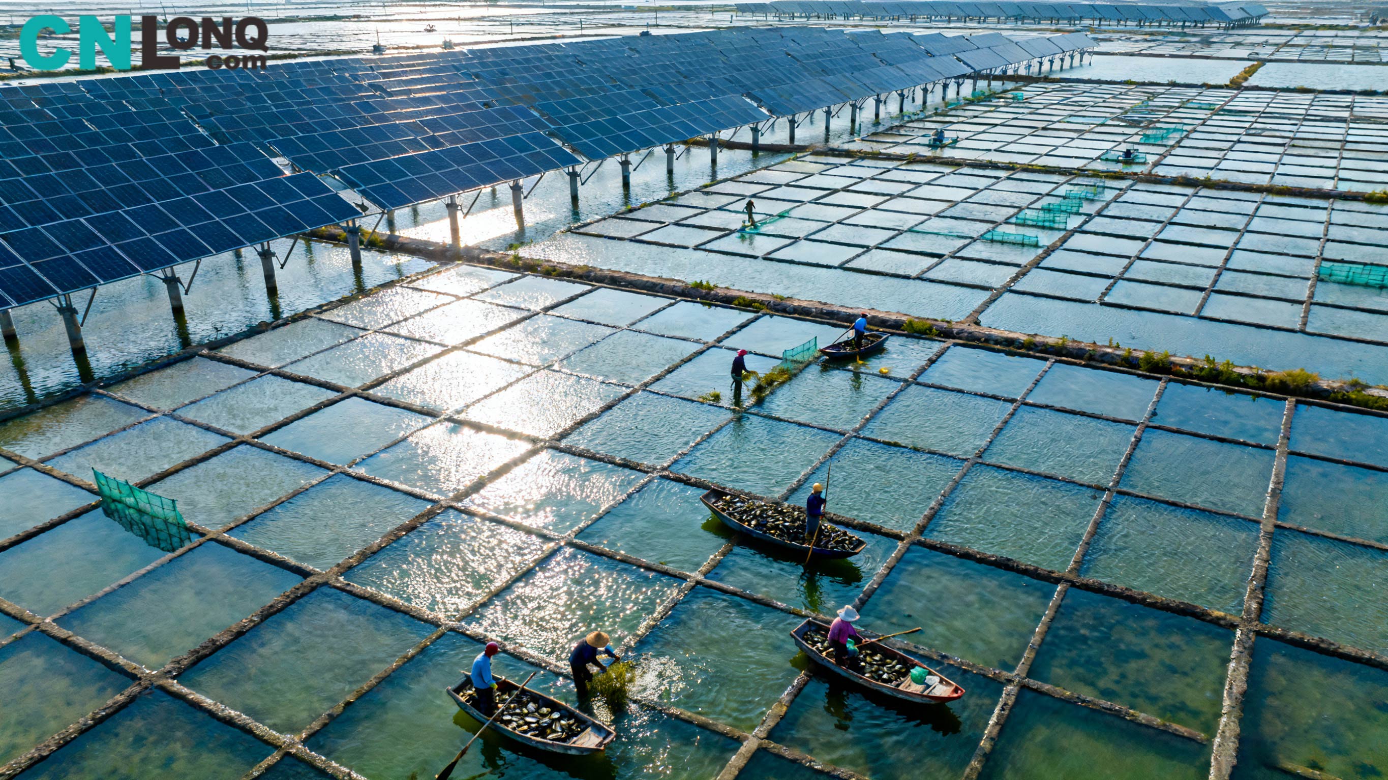 총 투자액 12억 위안! 신도 칭커우 염전 250MW 